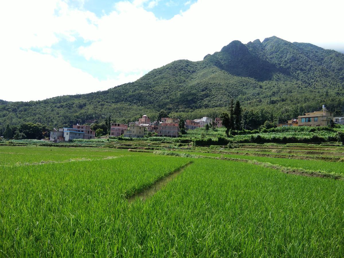 Belinda Backpackers Guesthouse Yuanyang  Exterior foto
